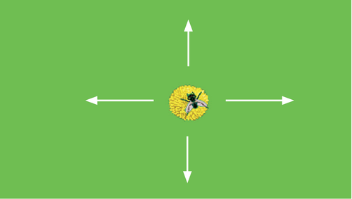 Screenshot aus dem Training: Visuomotorische Koordination (WISO)