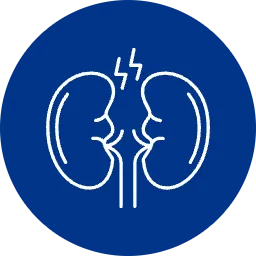 White line illustration of human kidneys with pain symbols on a blue circular background.