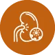 Icon of a person's upper body with a highlighted kidney and virus particles indicating kidney infection or glomerular disease.