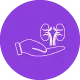 White line icon of a hand holding a kidney with connected veins inside a purple circle.