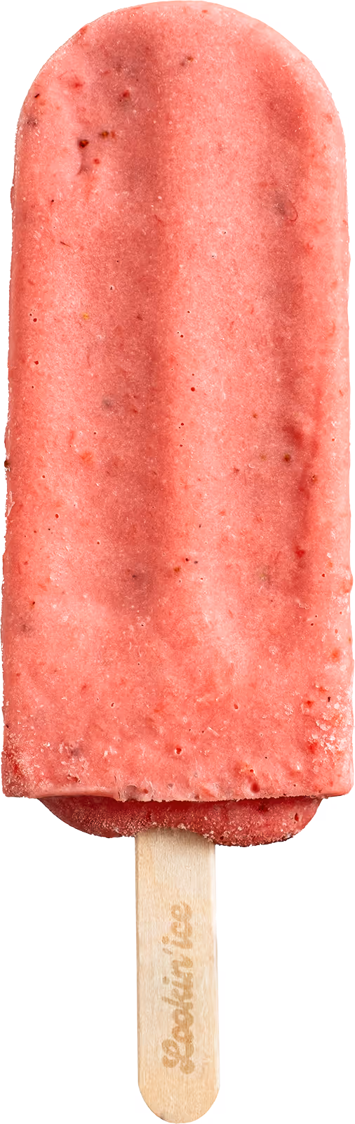 Icepop Gember & Citroen