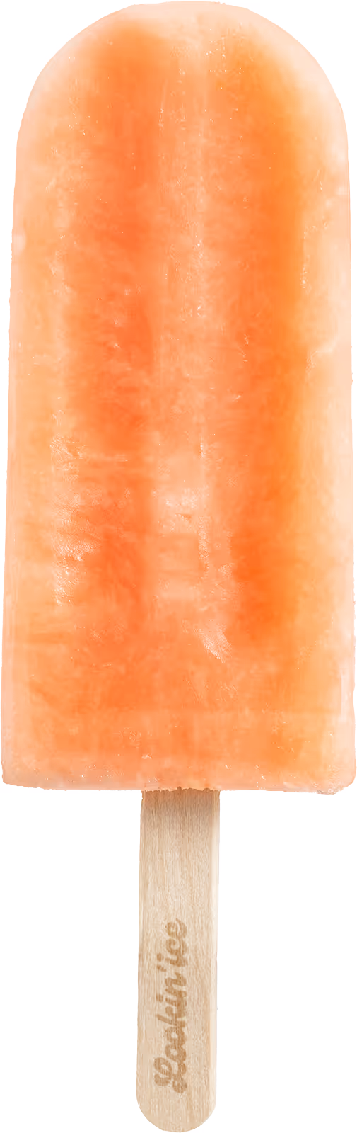 Icepop Gember & Citroen