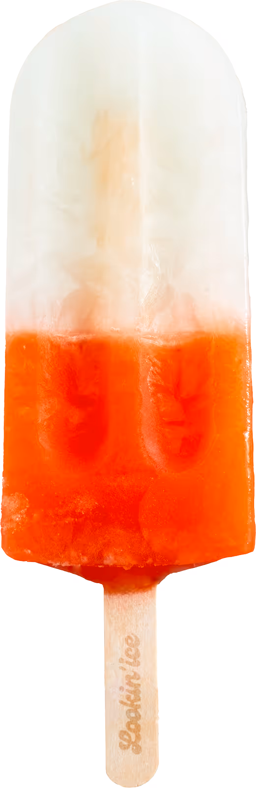 Icepop Gember & Citroen