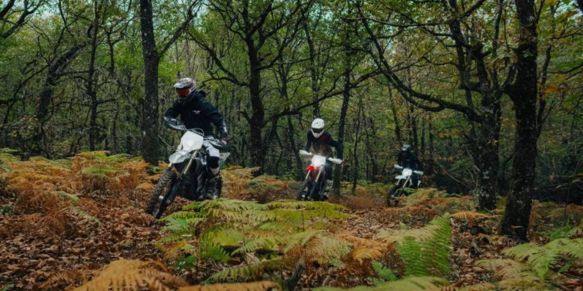 Stark Future : La Révolution des Motos Électriques de Rue ⚡️