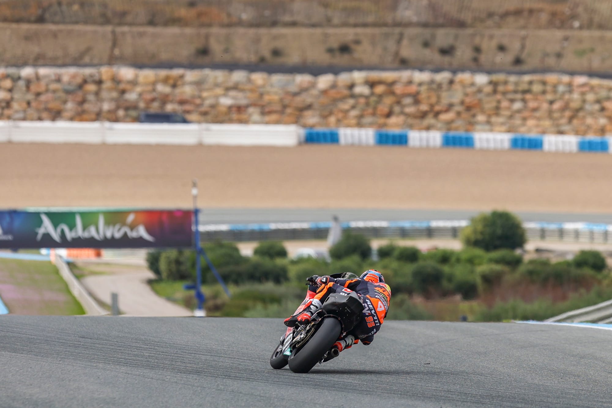 12 pilotes à suivre cette année dans les catégories juniors du MotoGP