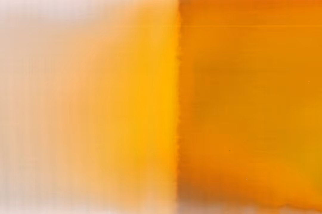 a blurry picture of a vase with flowers in it