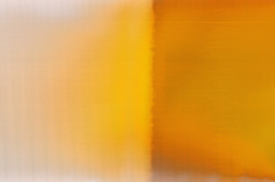 a blurry picture of a vase with flowers in it