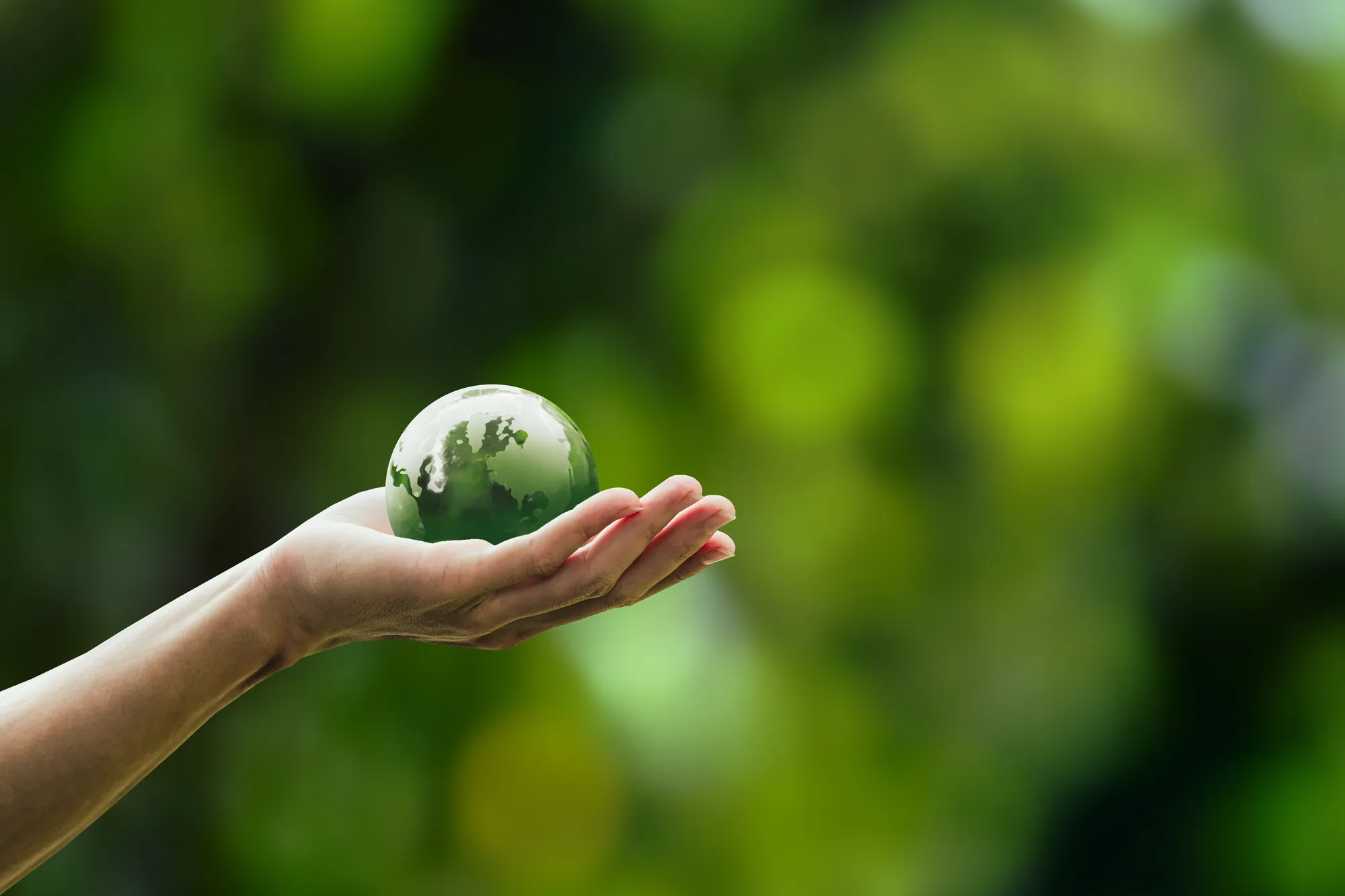A hand holding a green globe.