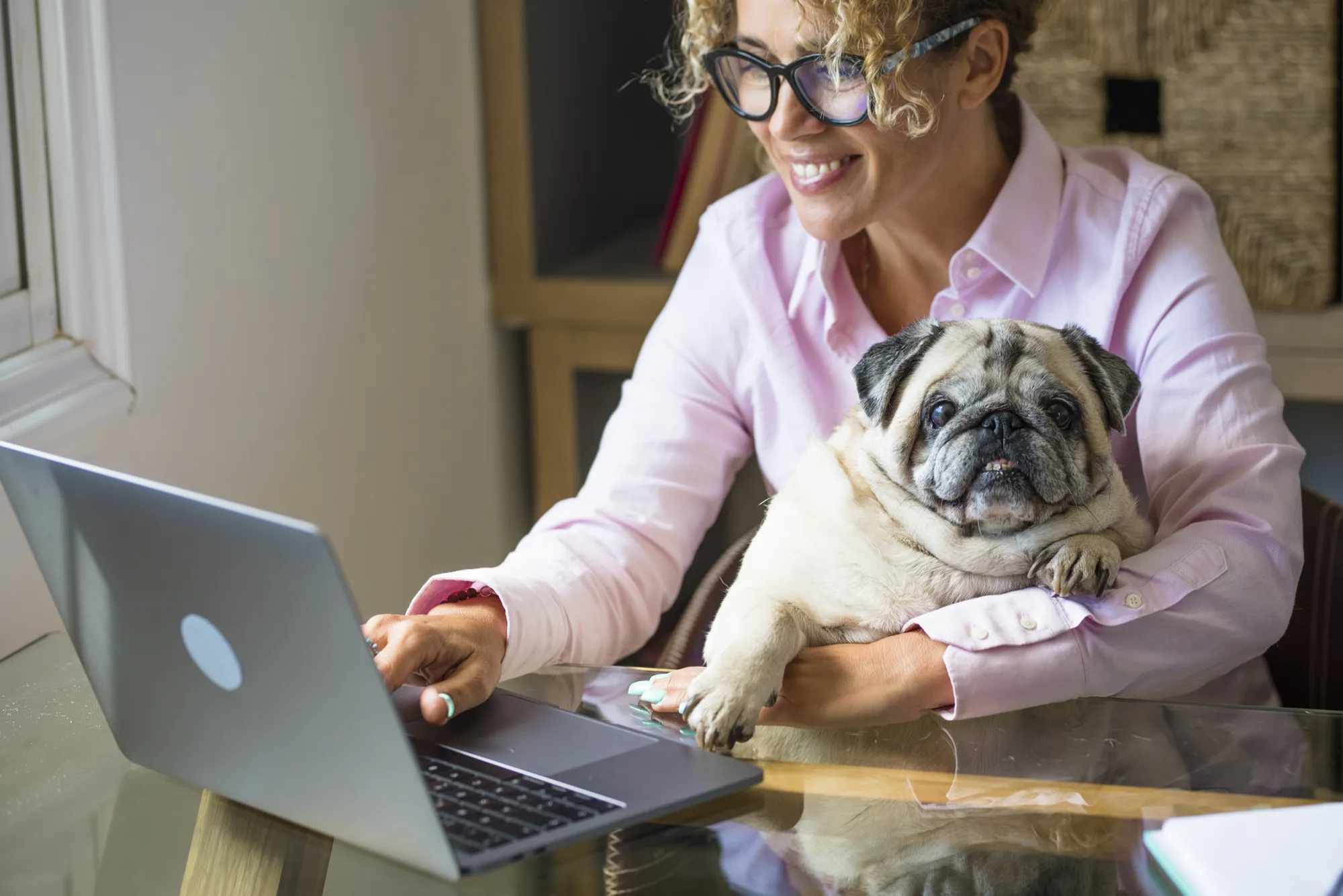 A woman sitting at a desk with a laptop and a pug dog.