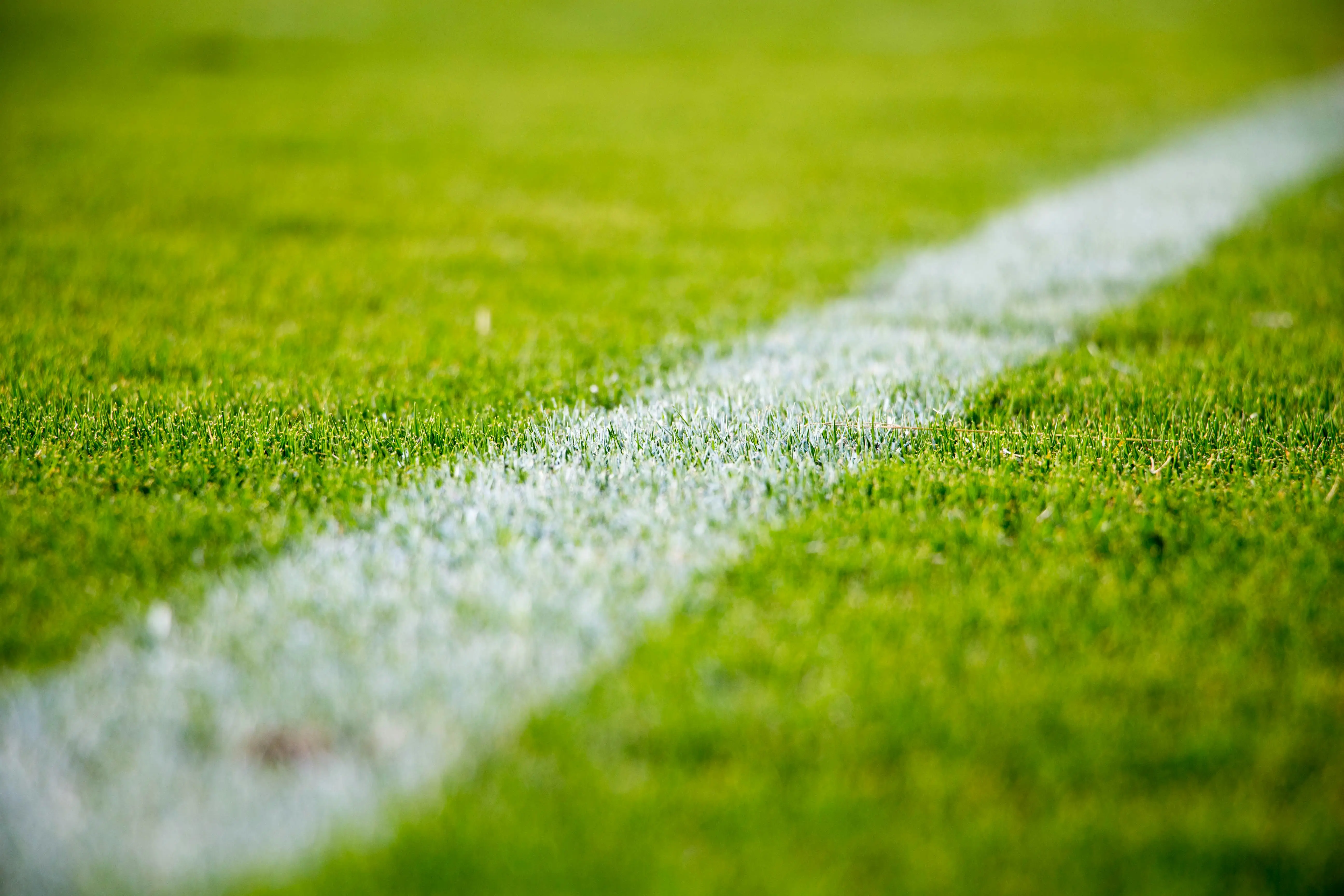 A green grassy field with a white line painted on it.