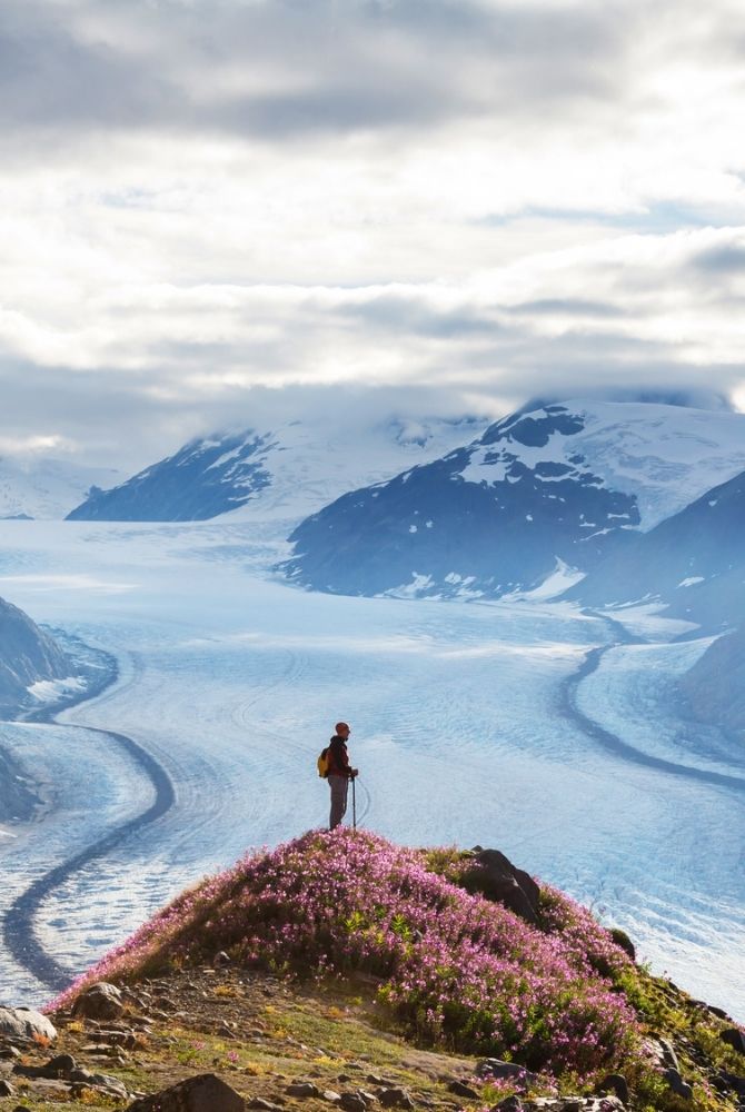 Wanderer mit Rucksack steht auf einem blühenden Hügel und blickt auf einen mächtigen Gletscher inmitten der imposanten Bergwelt Alaskas – beeindruckendes Panorama aus Natur und Weite.