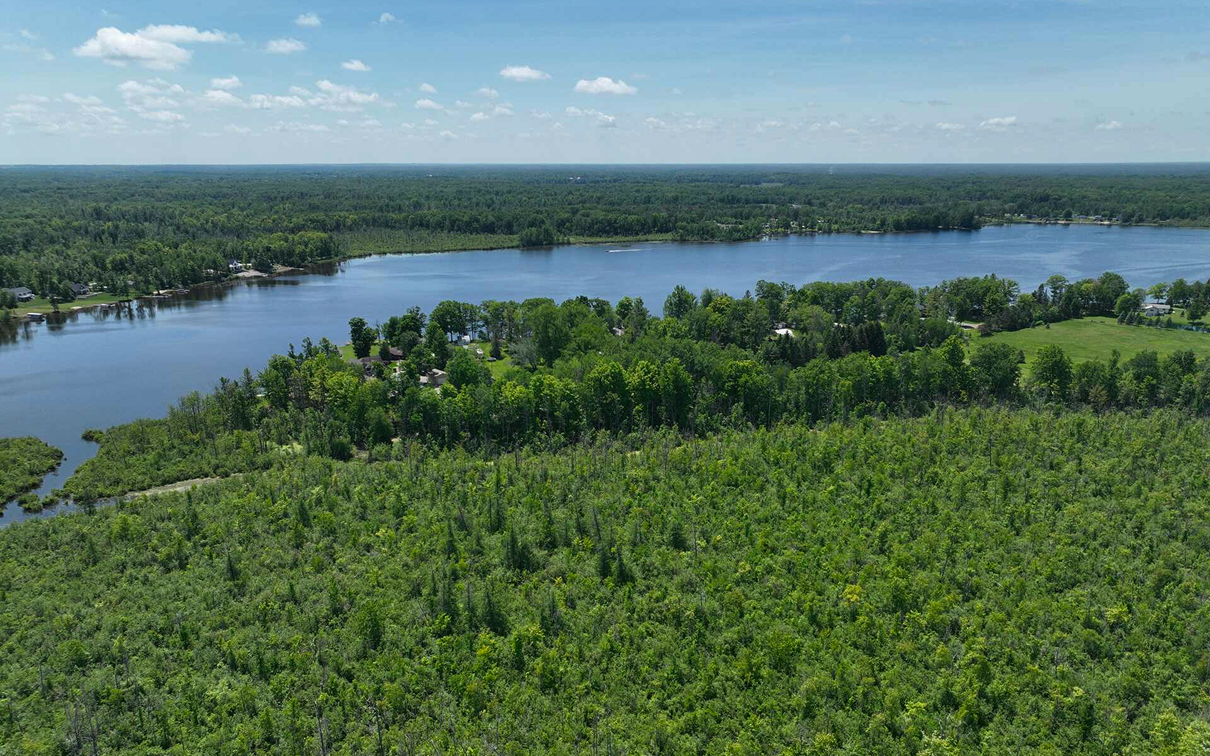 Summer aerial view of dense green forest next to a wide lake.