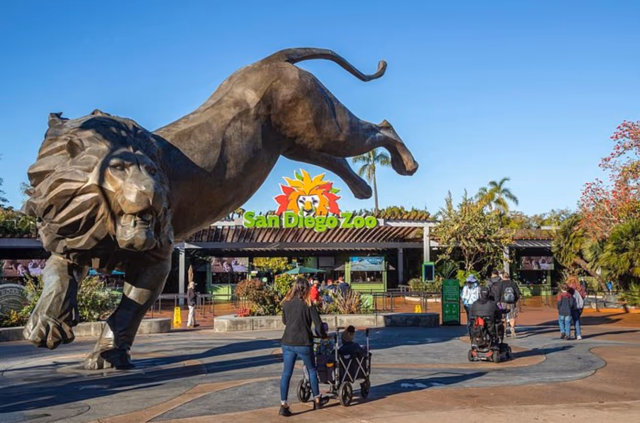 Embark on a wild adventure at the San Diego Zoo, home to over 4,000 animals from 800 species, offering an immersive experience into the world's diverse habitats.