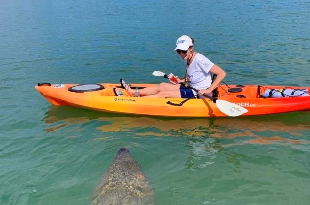 Embark on a 2-hour guided kayaking adventure through Sarasota's serene mangrove tunnels, offering an immersive experience into the region's unique coastal ecosystem.