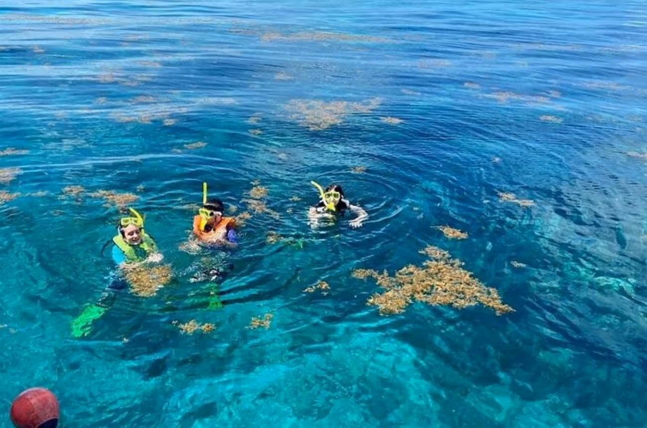 Embark on a 3.5-hour snorkeling adventure from Key Largo, exploring vibrant coral reefs within the Florida Keys National Marine Sanctuary and John Pennekamp Coral Reef State Park, guided by knowledgeable crew members.
