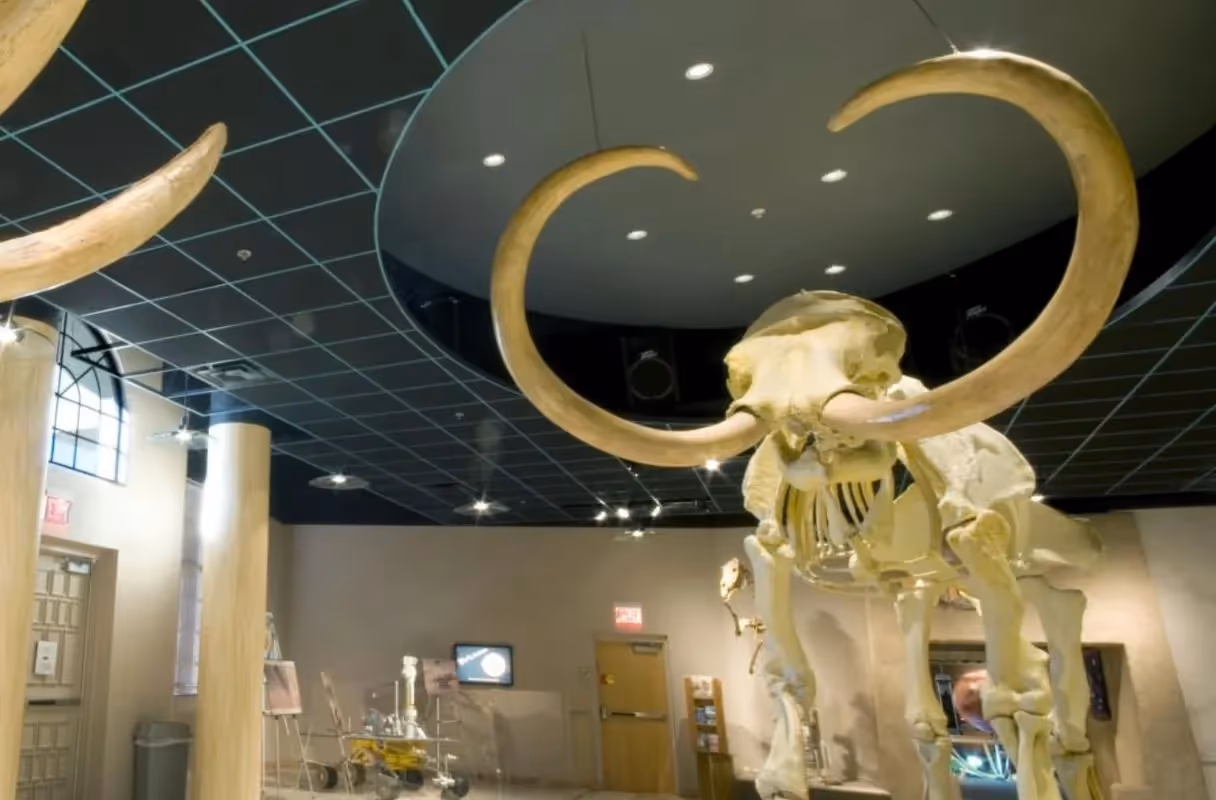 Arizona Museum of Natural History