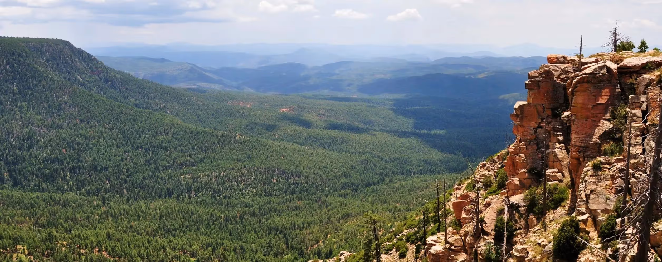 Apache-Sitgreaves Scenic Drive
