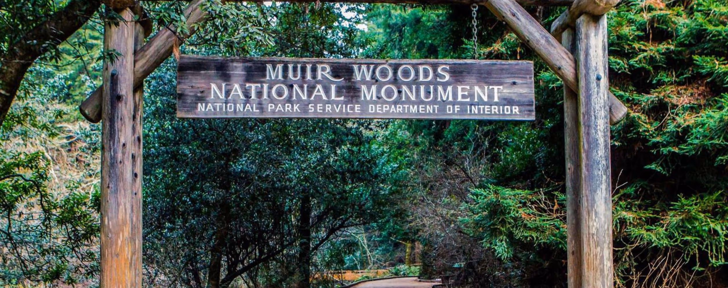 Muir Woods National Monument (Marin County)