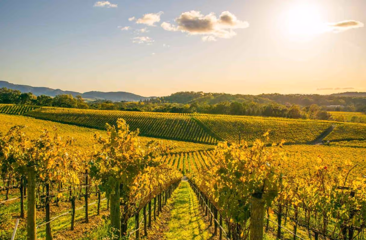 Napa & Sonoma Wine Country (Napa/Sonoma Counties)
