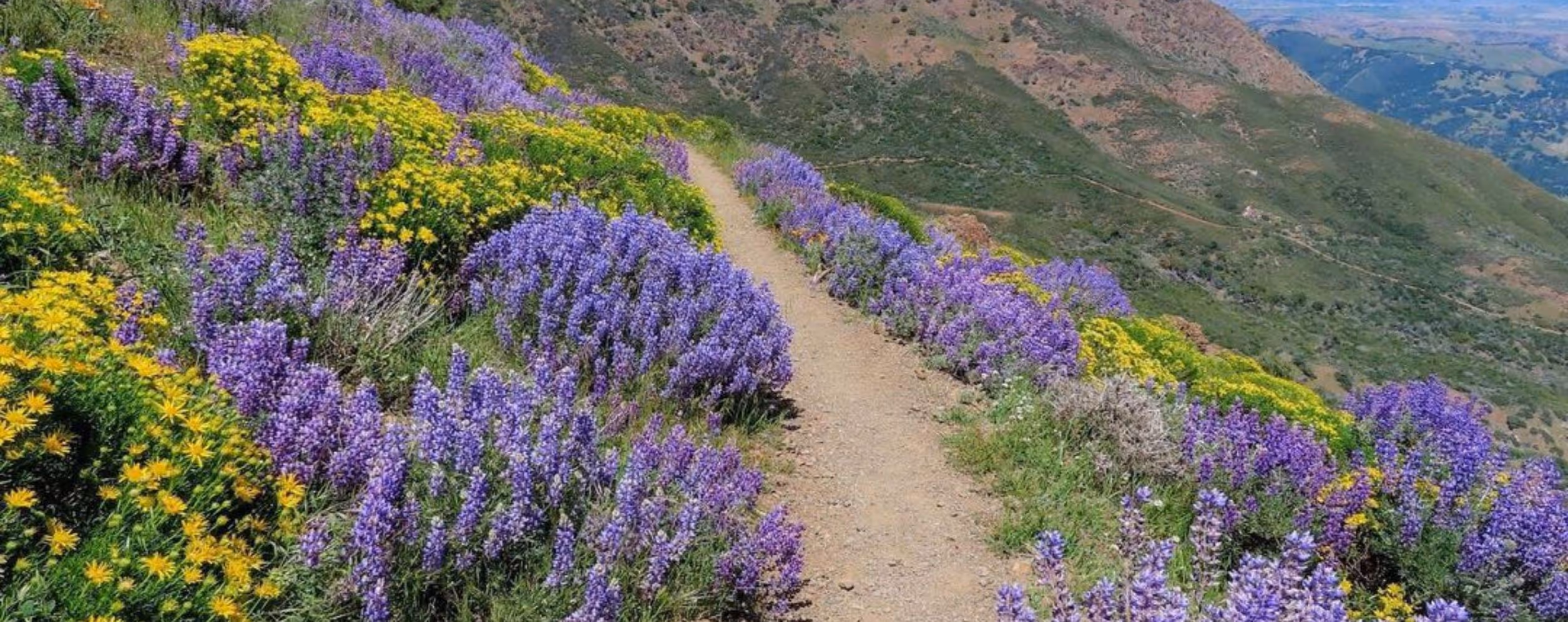 Mount Diablo State Park