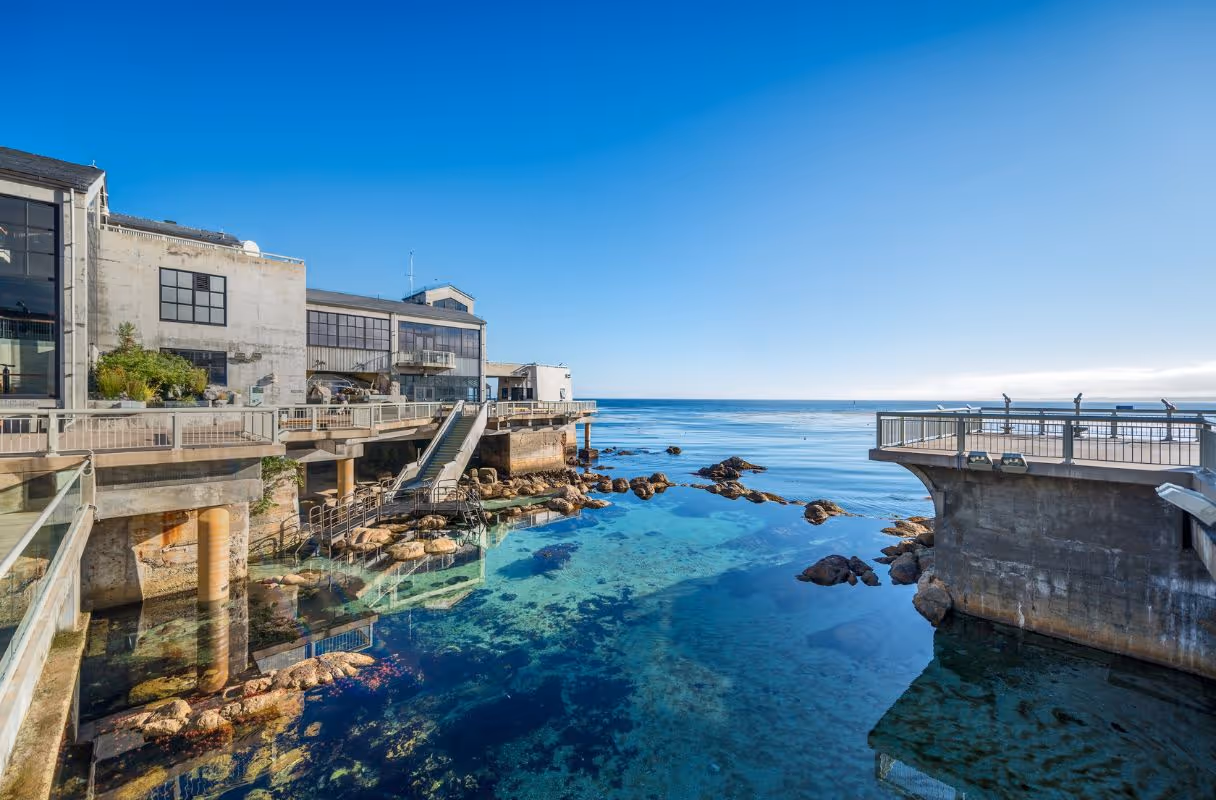 Monterey Bay Aquarium (Monterey)