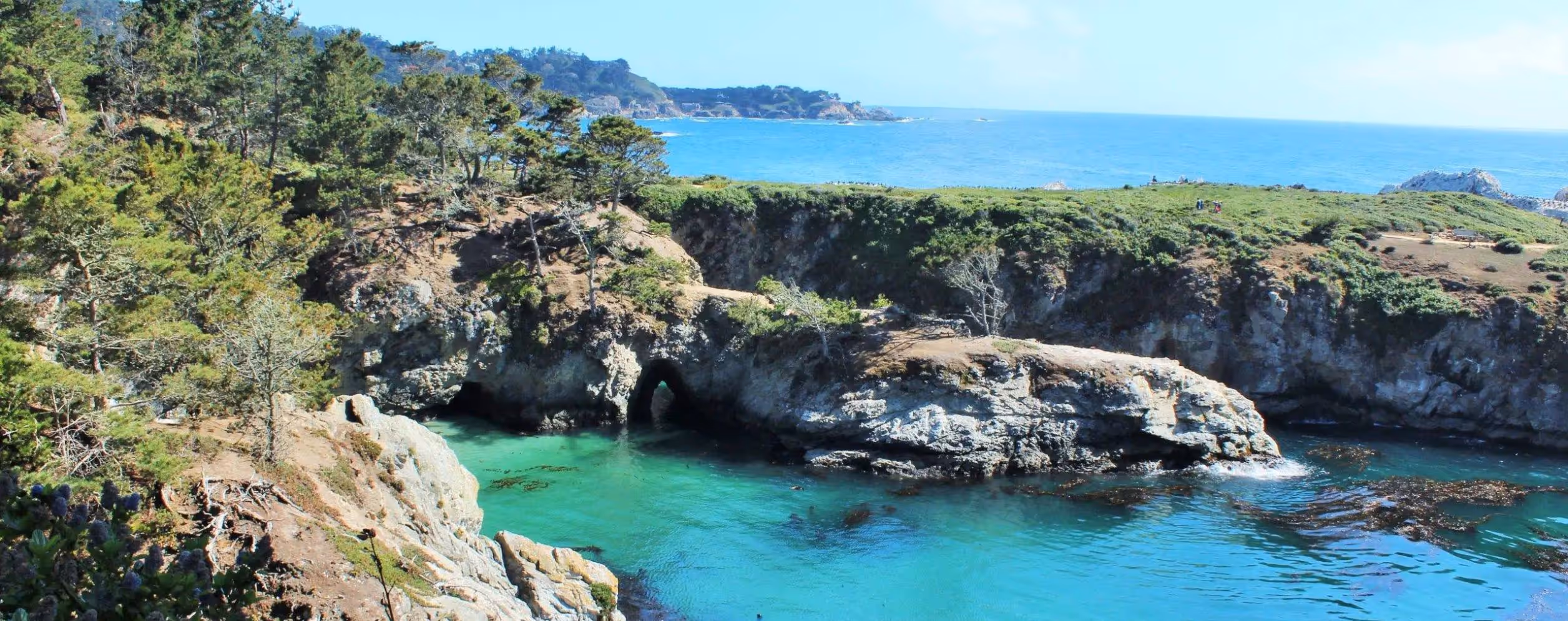 Point Lobos State Natural Reserve (Carmel)
