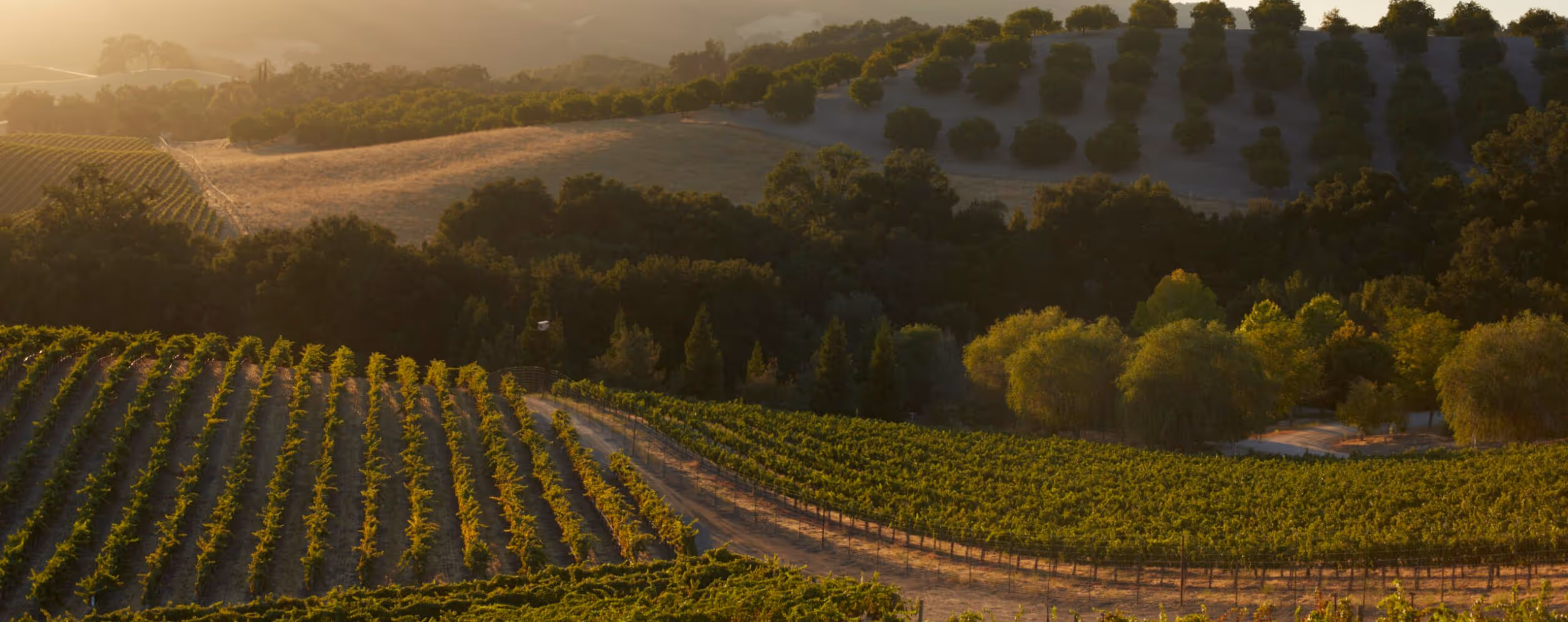 Paso Robles Wine Country (San Luis Obispo County)