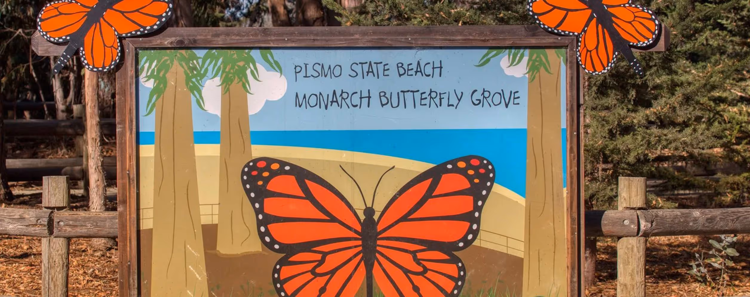 Pismo Beach Monarch Butterfly Grove (Pismo Beach)