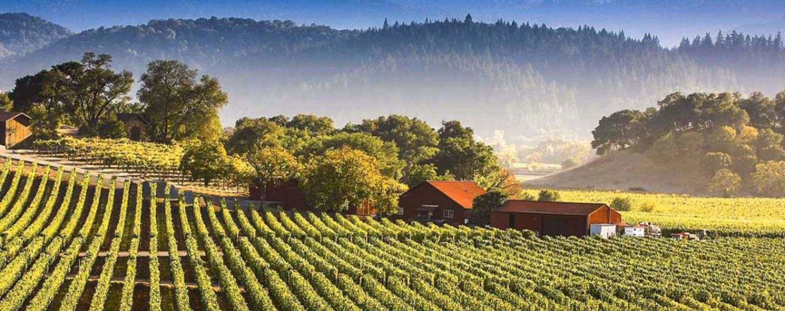 Lodi Wine Country (San Joaquin Valley)