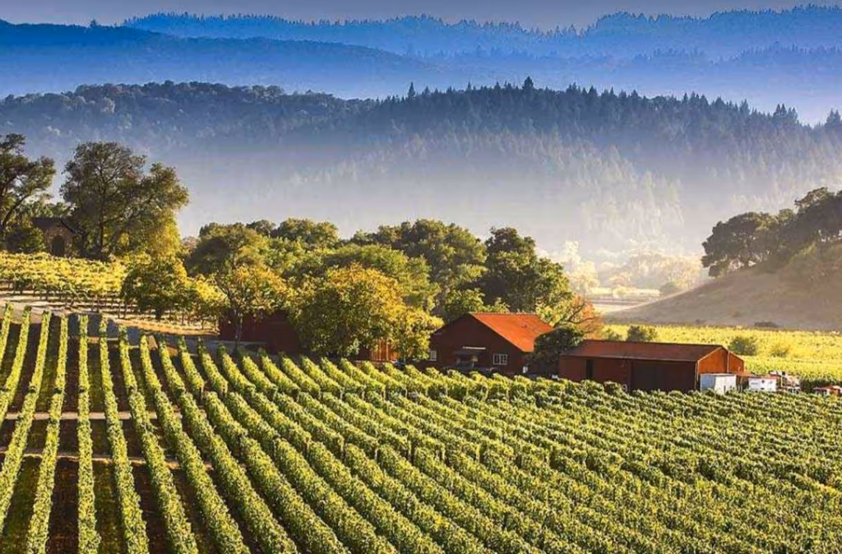 Lodi Wine Country (San Joaquin Valley)