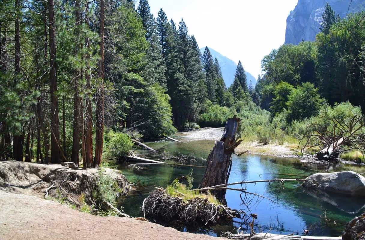 Kings Canyon National Park (Fresno/Tulare)