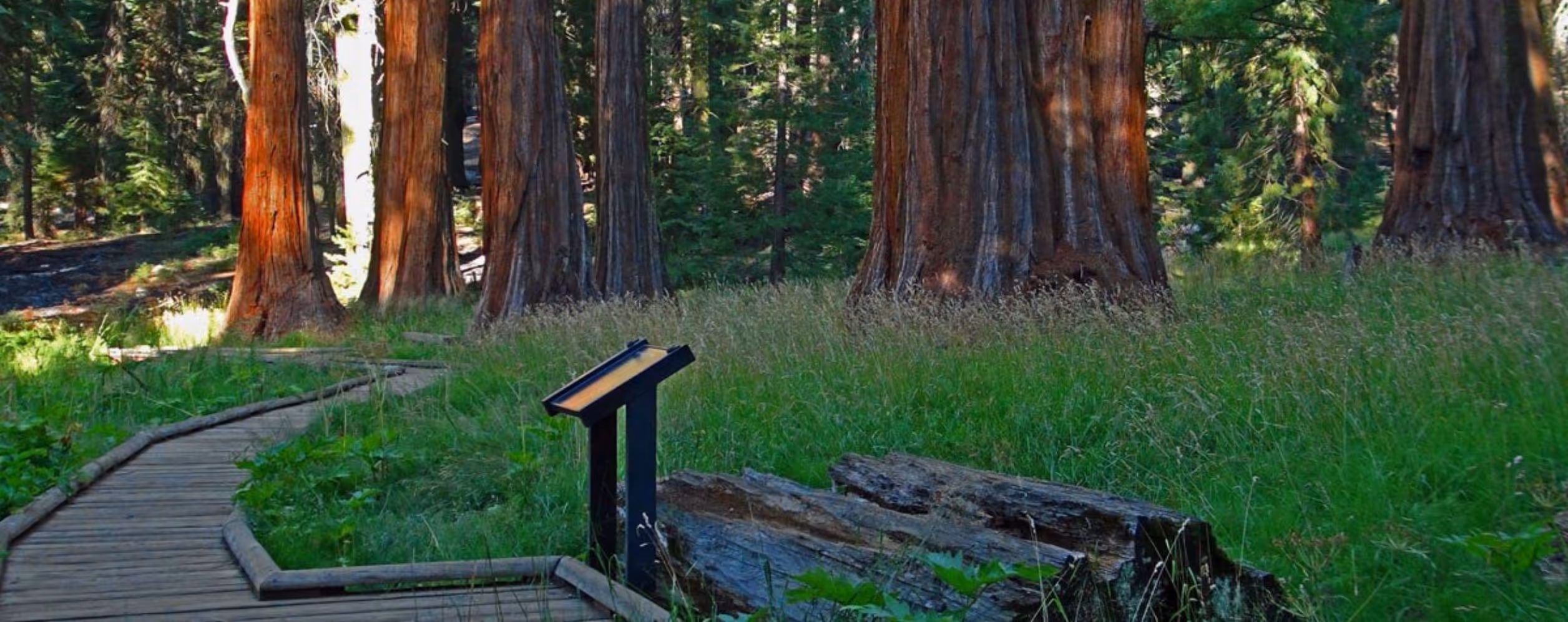 Sequoia National Park (Tulare County)