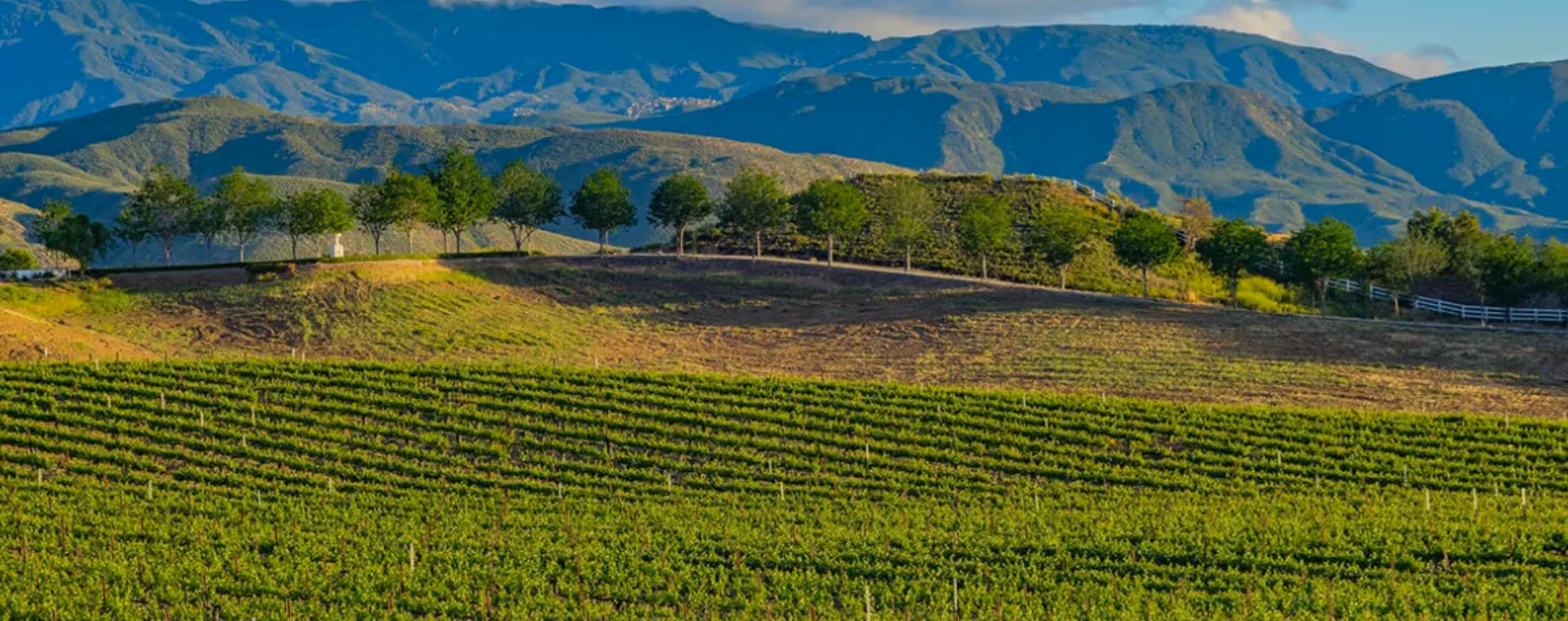 Temecula Valley Wine Country (Inland Empire)