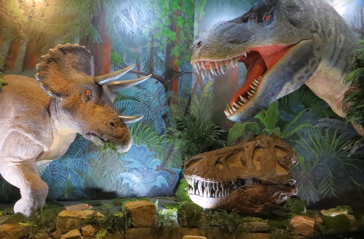 Dinosaur Journey Museum