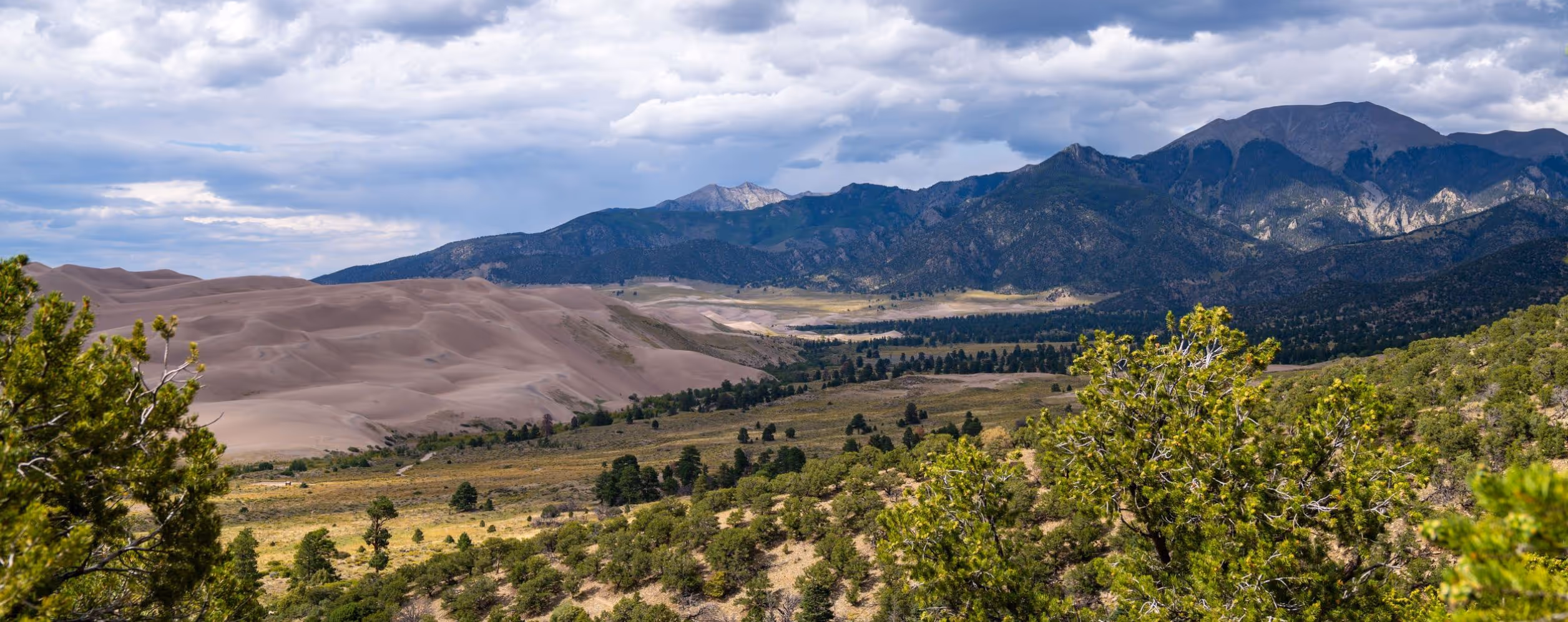 Dunes Overlook Trail
