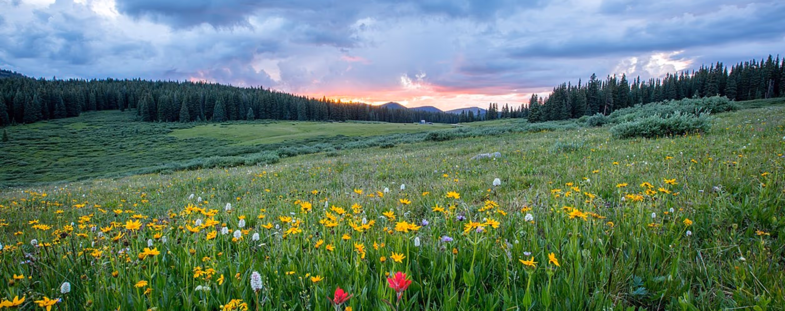 Shrine Pass