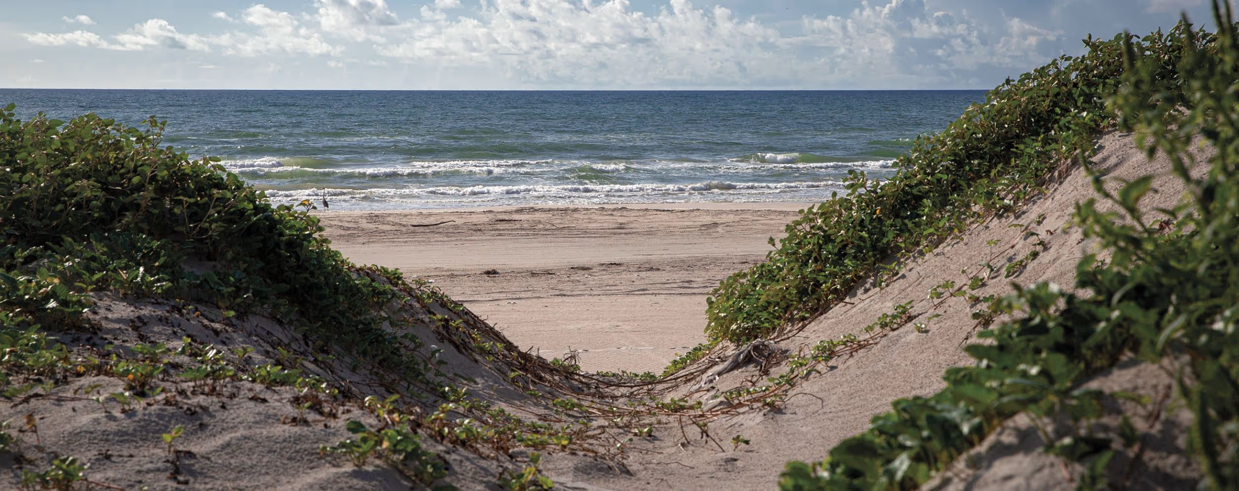Padre Island National Seashore