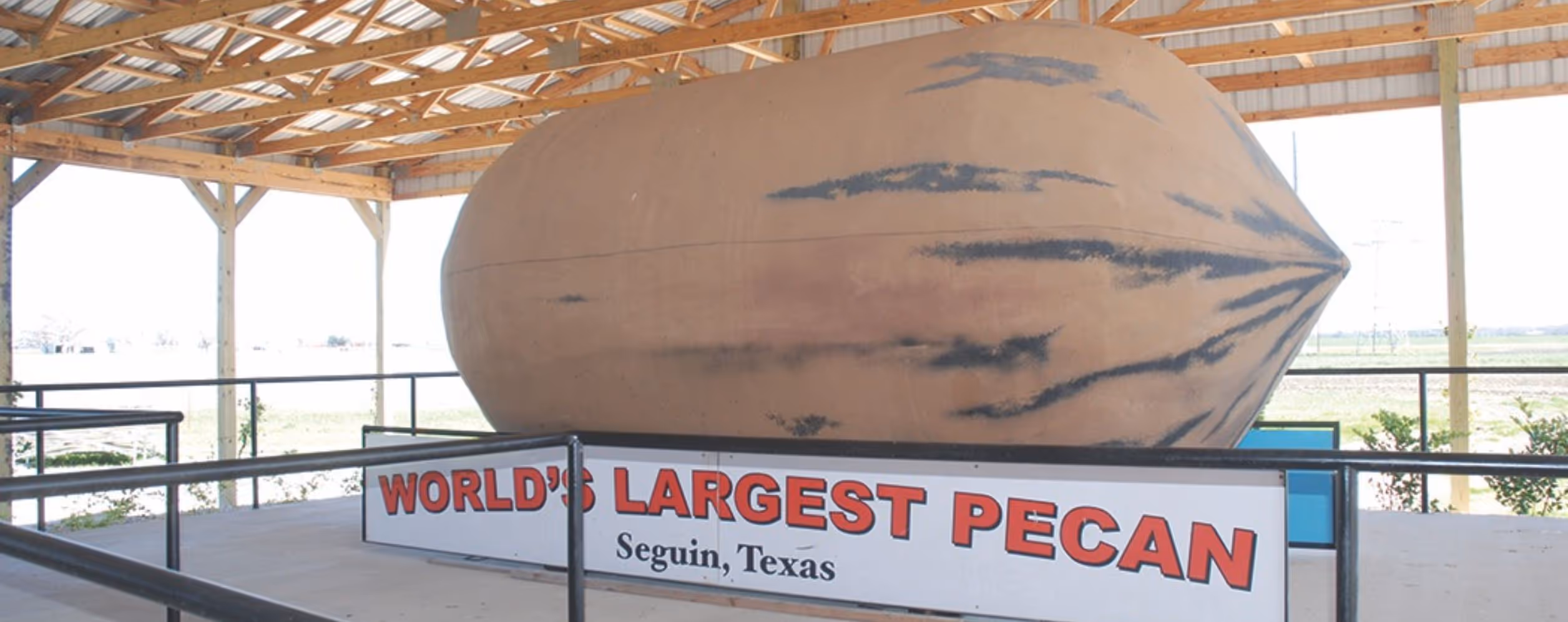 World's Largest Pecan