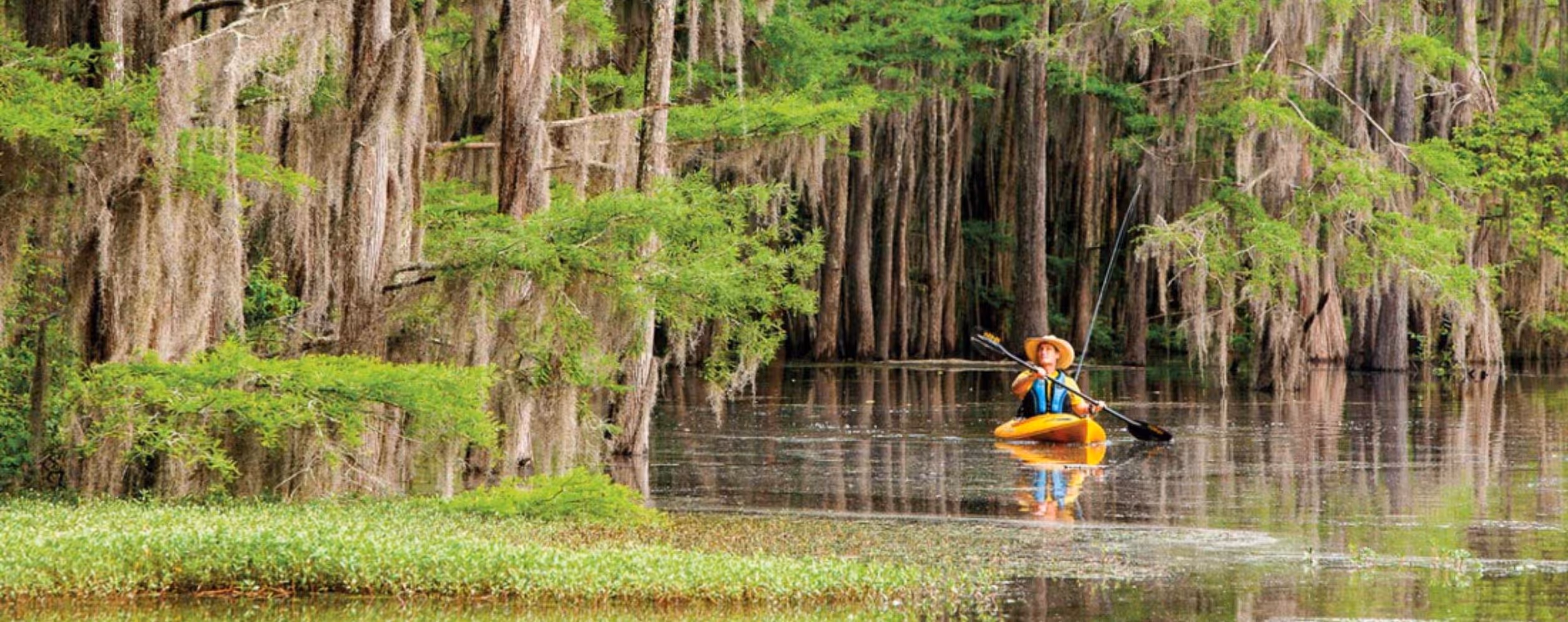 Kayaking in Caddo Lake