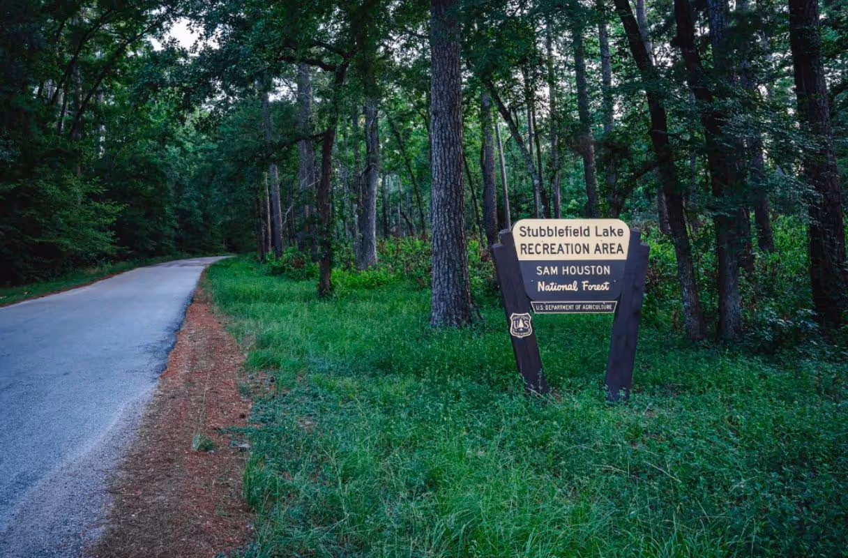 Sam Houston National Forest