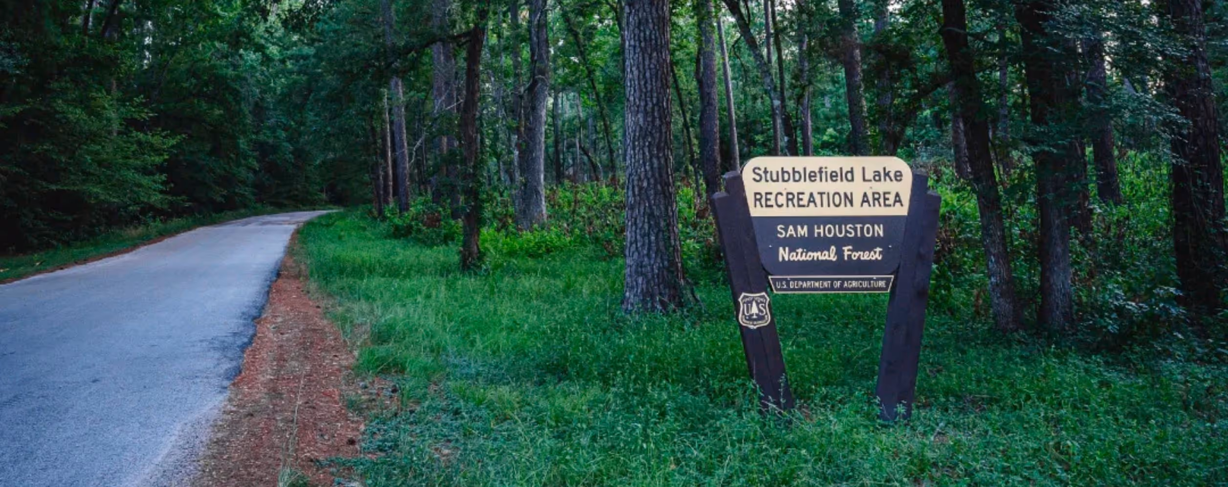 Sam Houston National Forest
