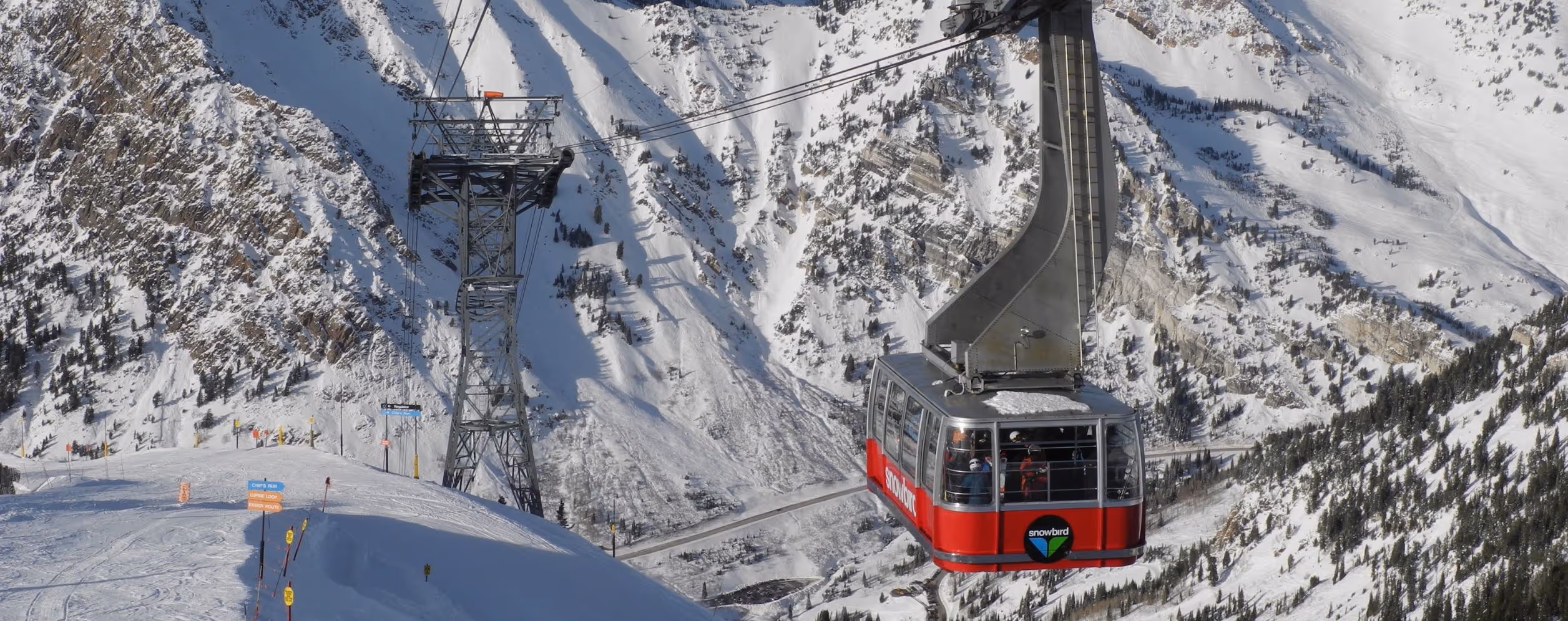 Alta & Snowbird Ski Resorts (Little Cottonwood Canyon)