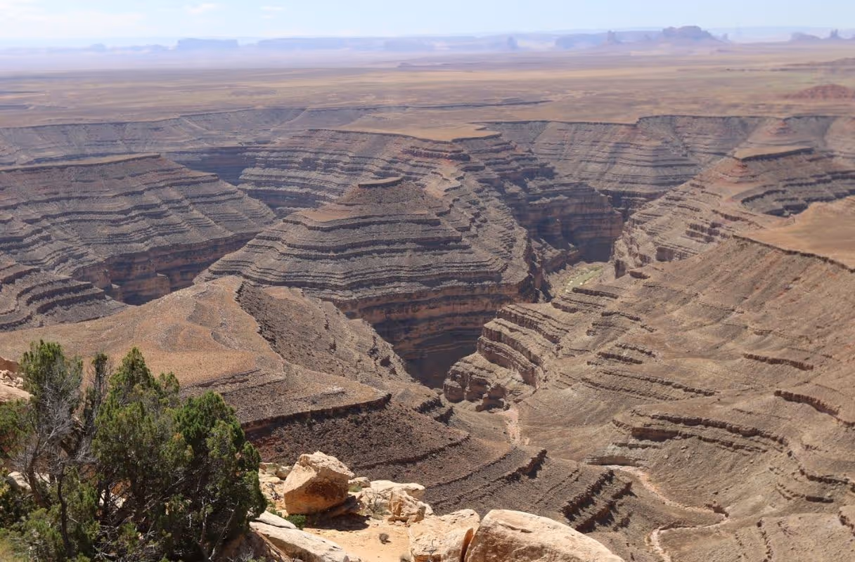 Muley Point (Cedar Mesa overlook)
