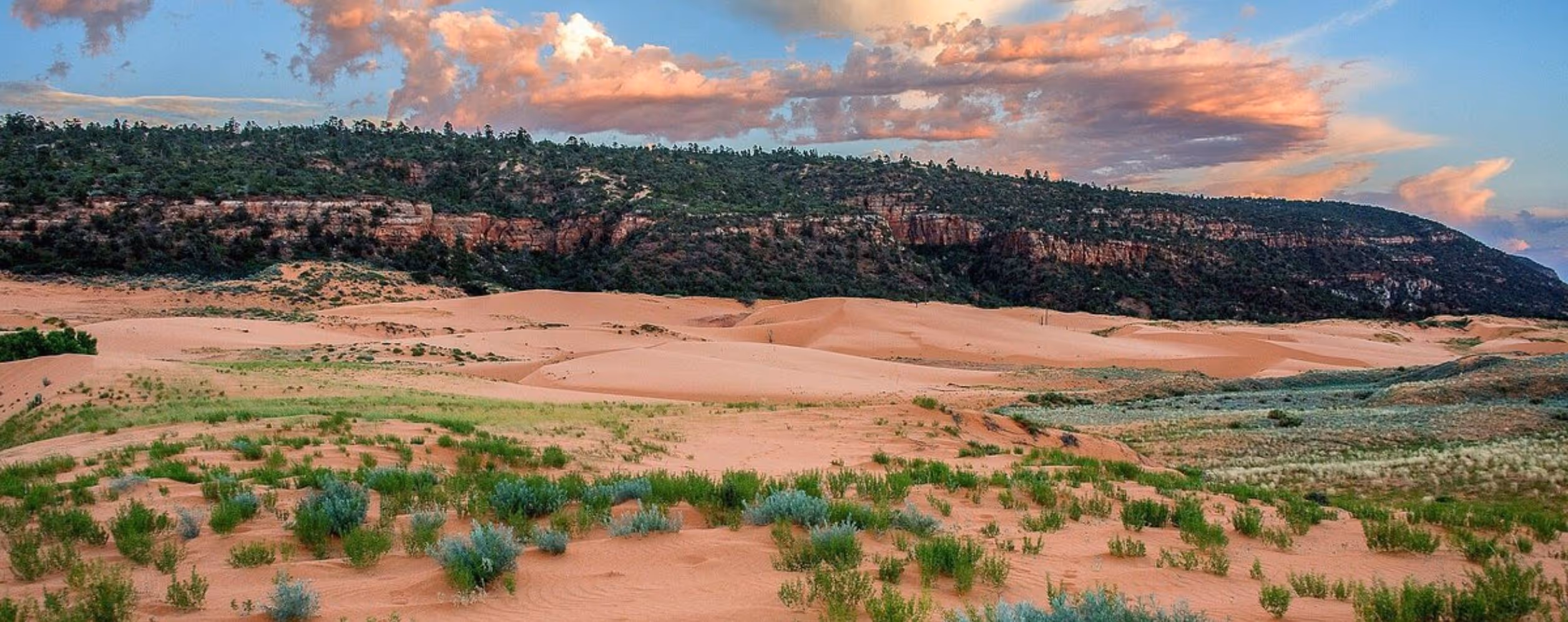 Coral Pink Sand Dunes State Park
