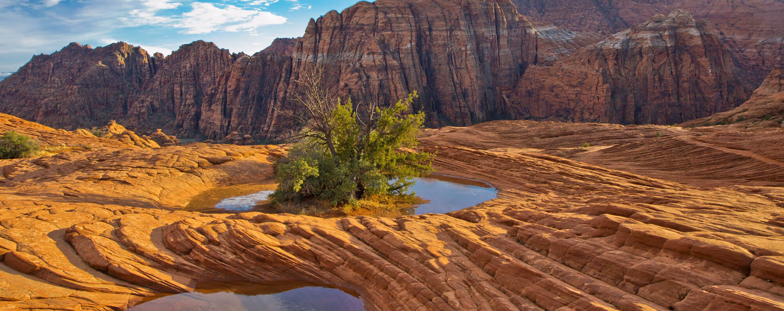 Snow Canyon State Park (St. George)