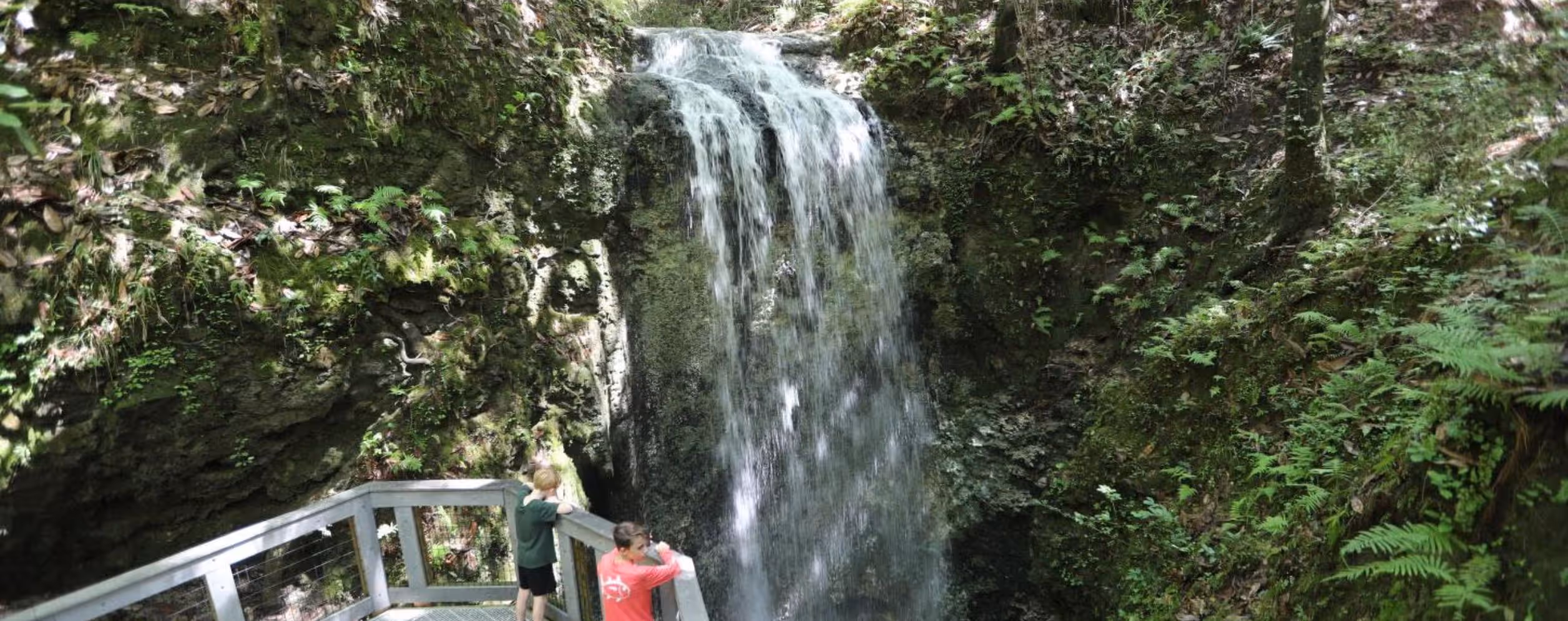 Falling Waters State Park