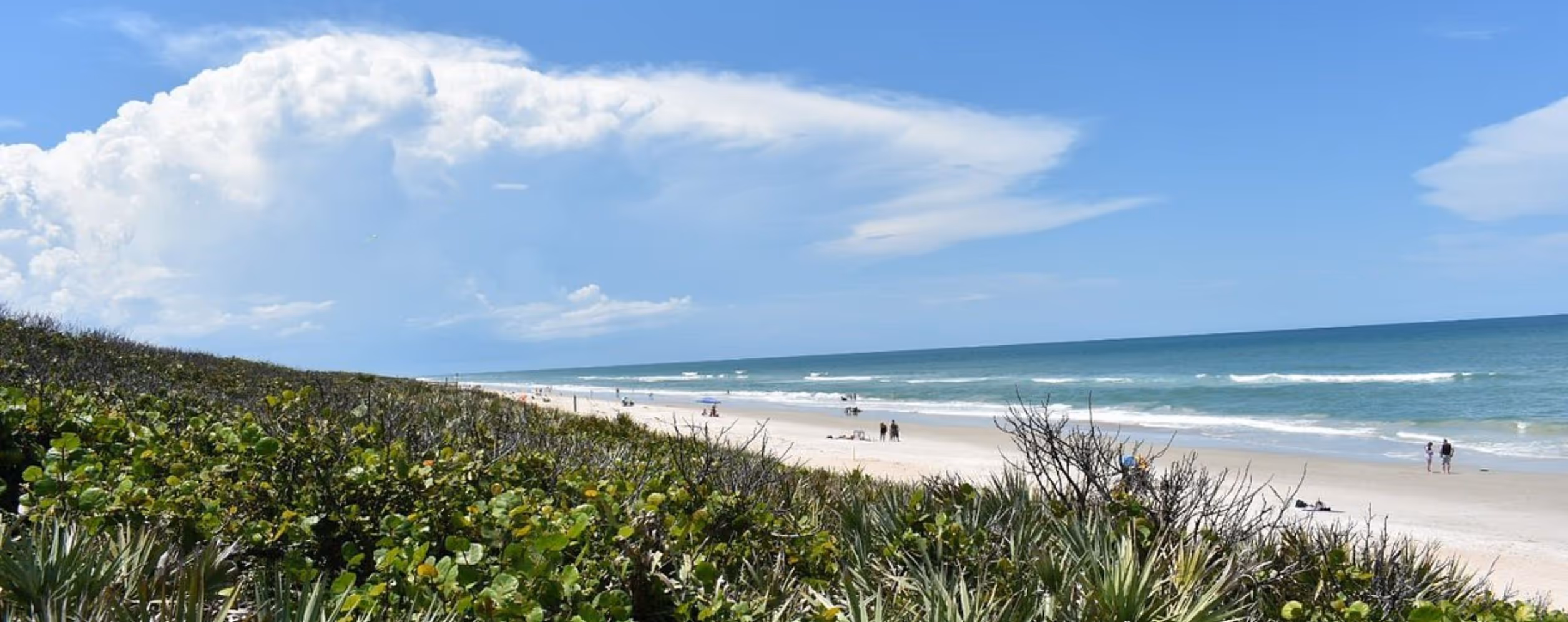 Canaveral National Seashore