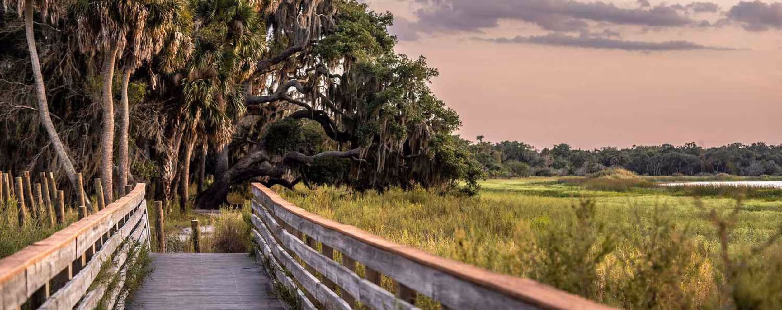 Myakka River State Park