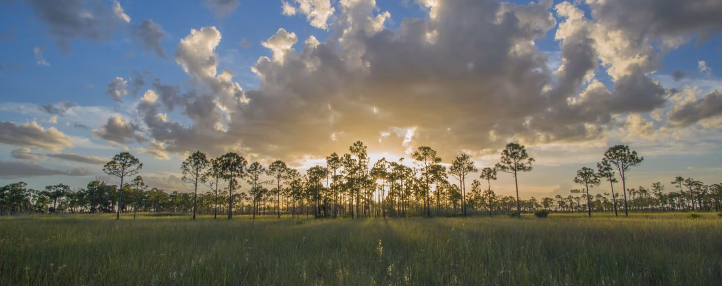 Big Cypress National Preserve