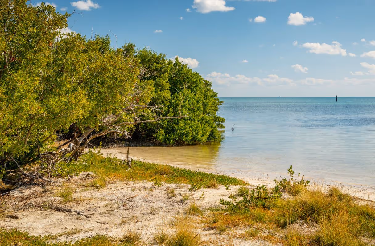 Anne’s Beach (Lower Matecumbe Key)